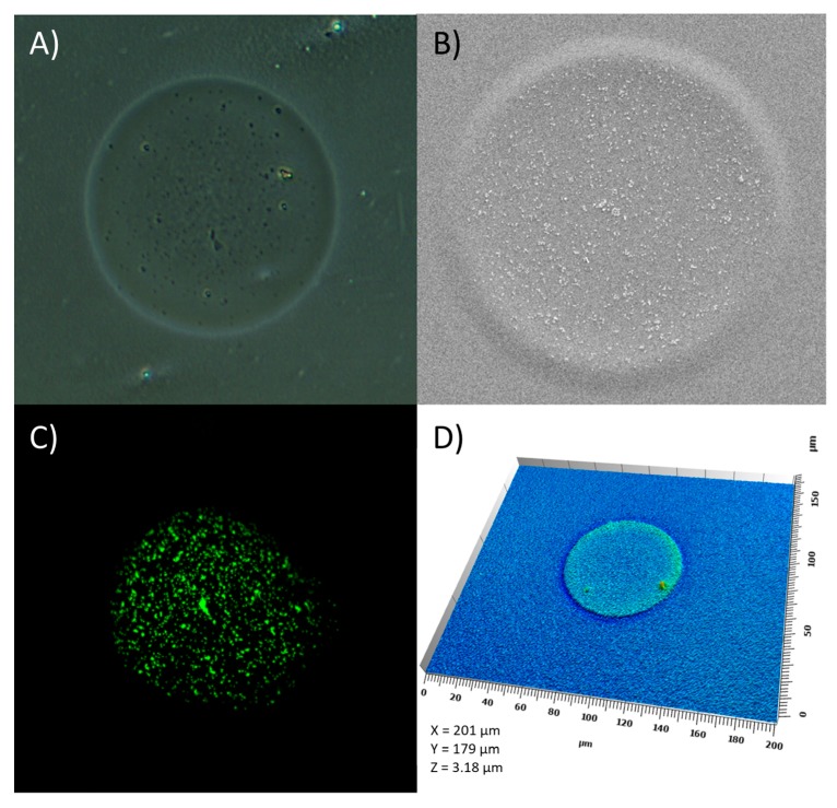 Figure 10