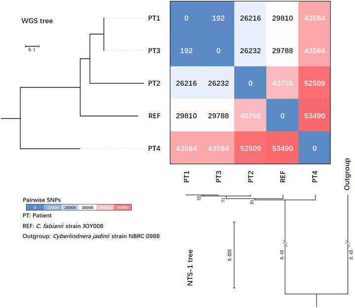 Figure 2