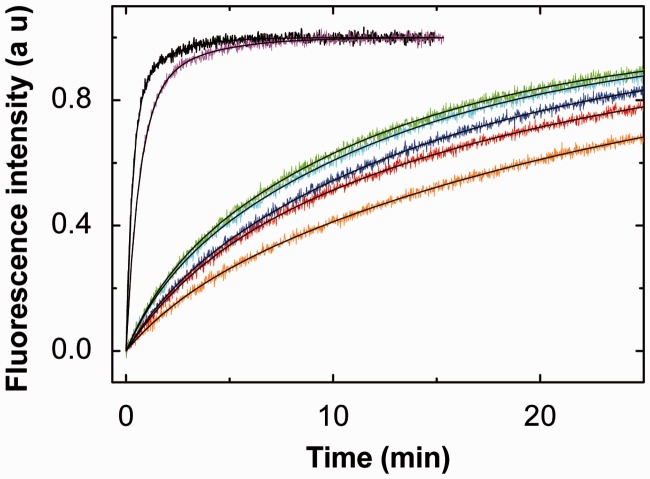 Figure 6.