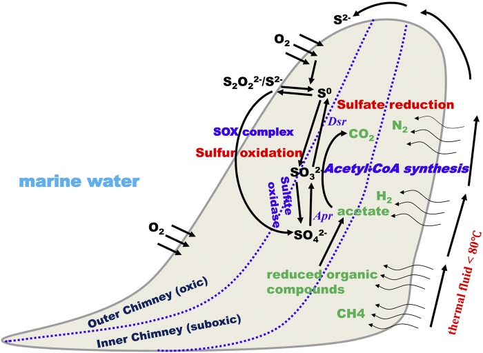 FIG 7 