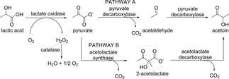 Scheme 13