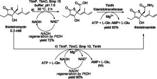 Scheme 15