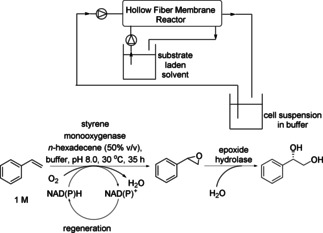 Scheme 31