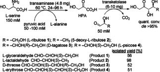 Scheme 14