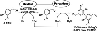 Scheme 6