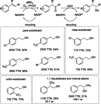 Scheme 9