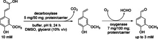 Scheme 18