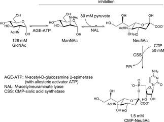 Scheme 23