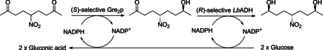 Scheme 30