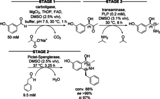 Scheme 28