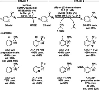 Scheme 25