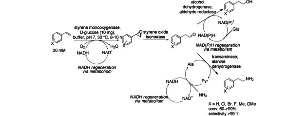 Scheme 35