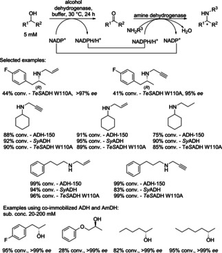 Scheme 7