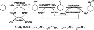 Scheme 21