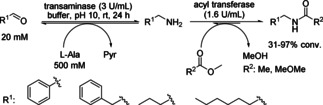 Scheme 11