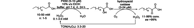 Scheme 10