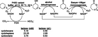 Scheme 20