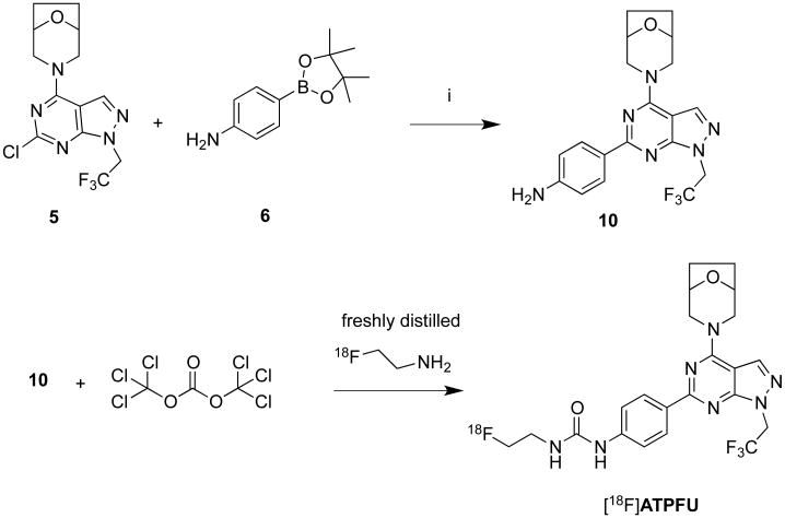 Scheme 3