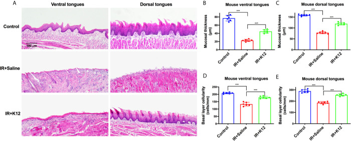 Figure 2