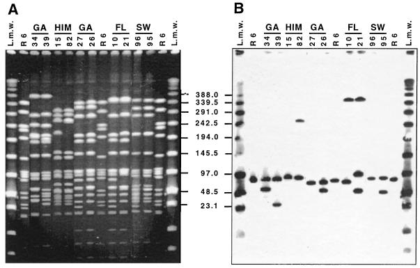 FIG. 6