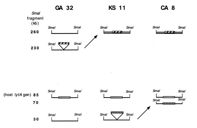 FIG. 5