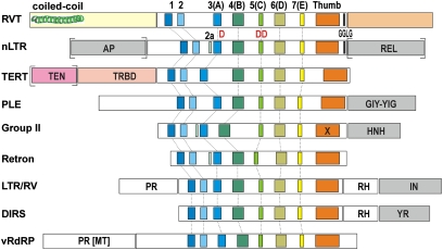 Fig. 1.