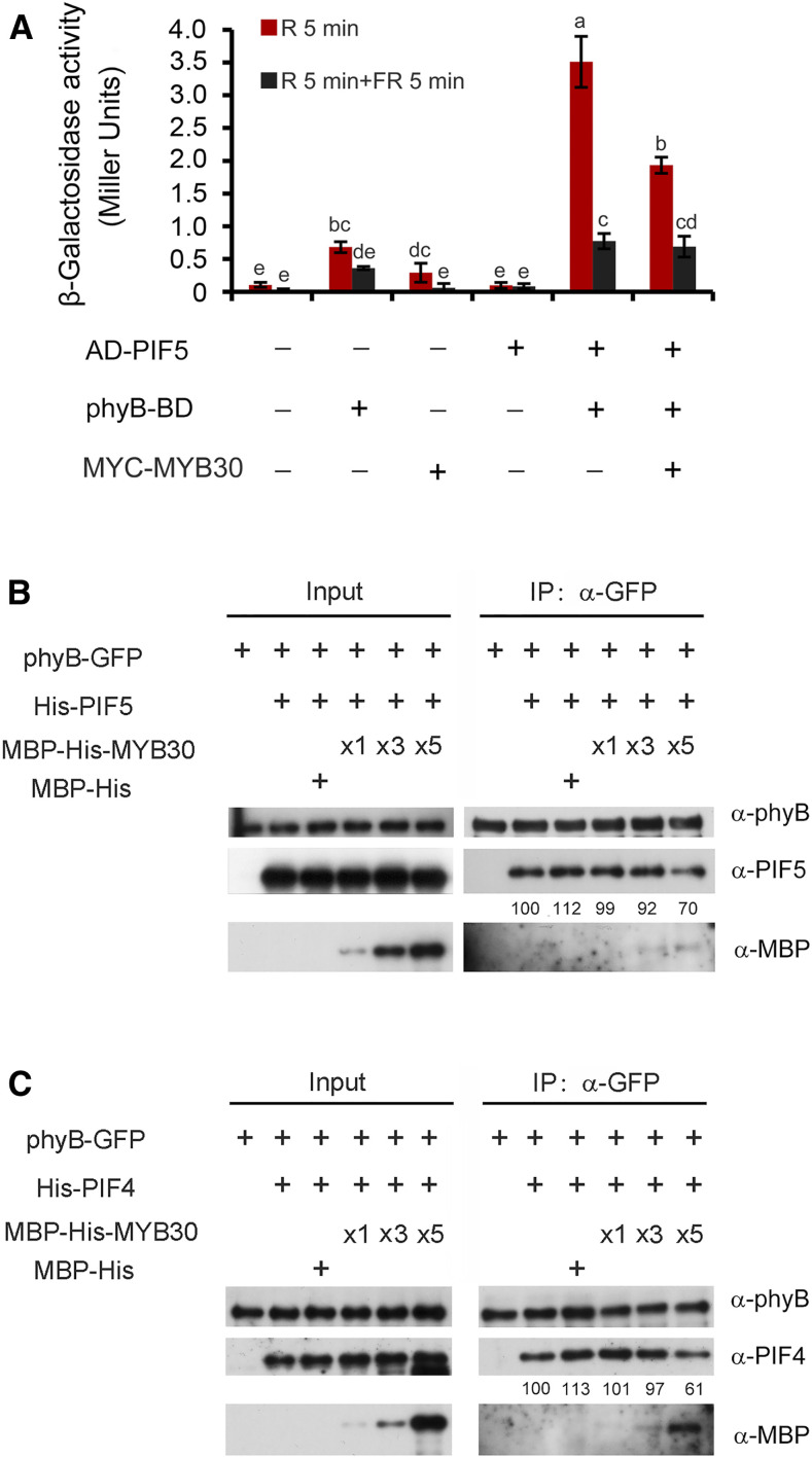 Figure 7.