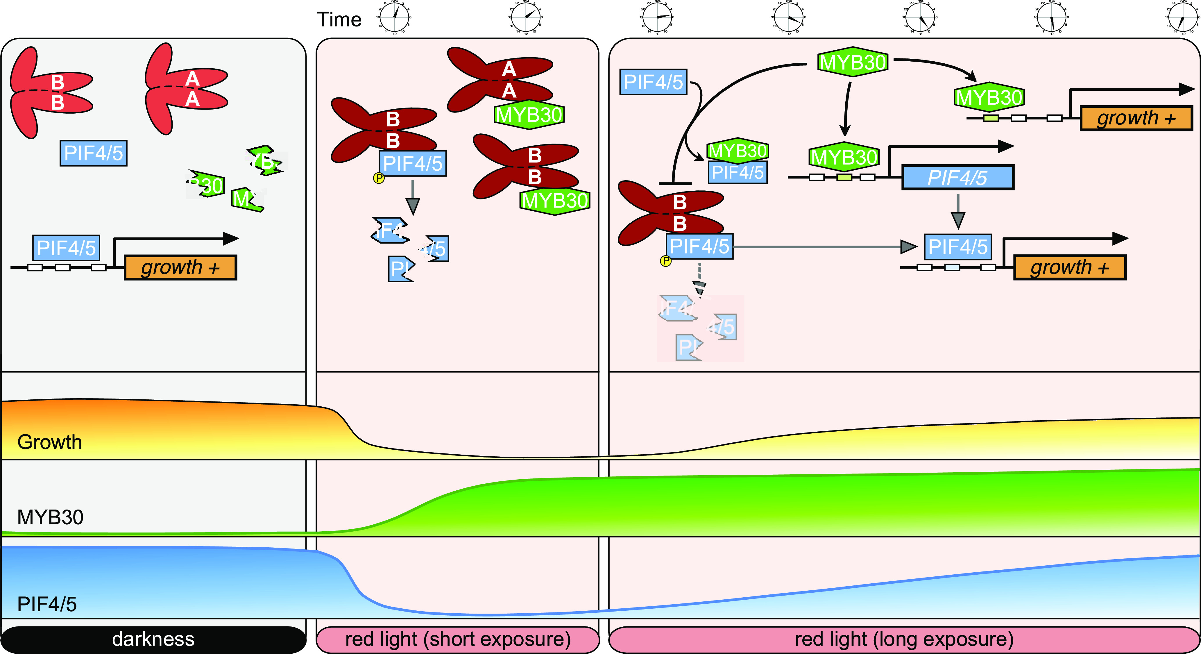 Figure 9.