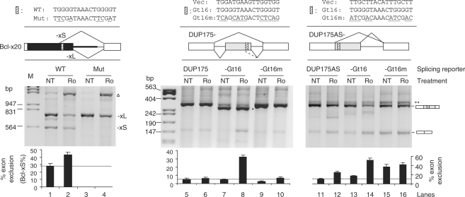 Figure 4.