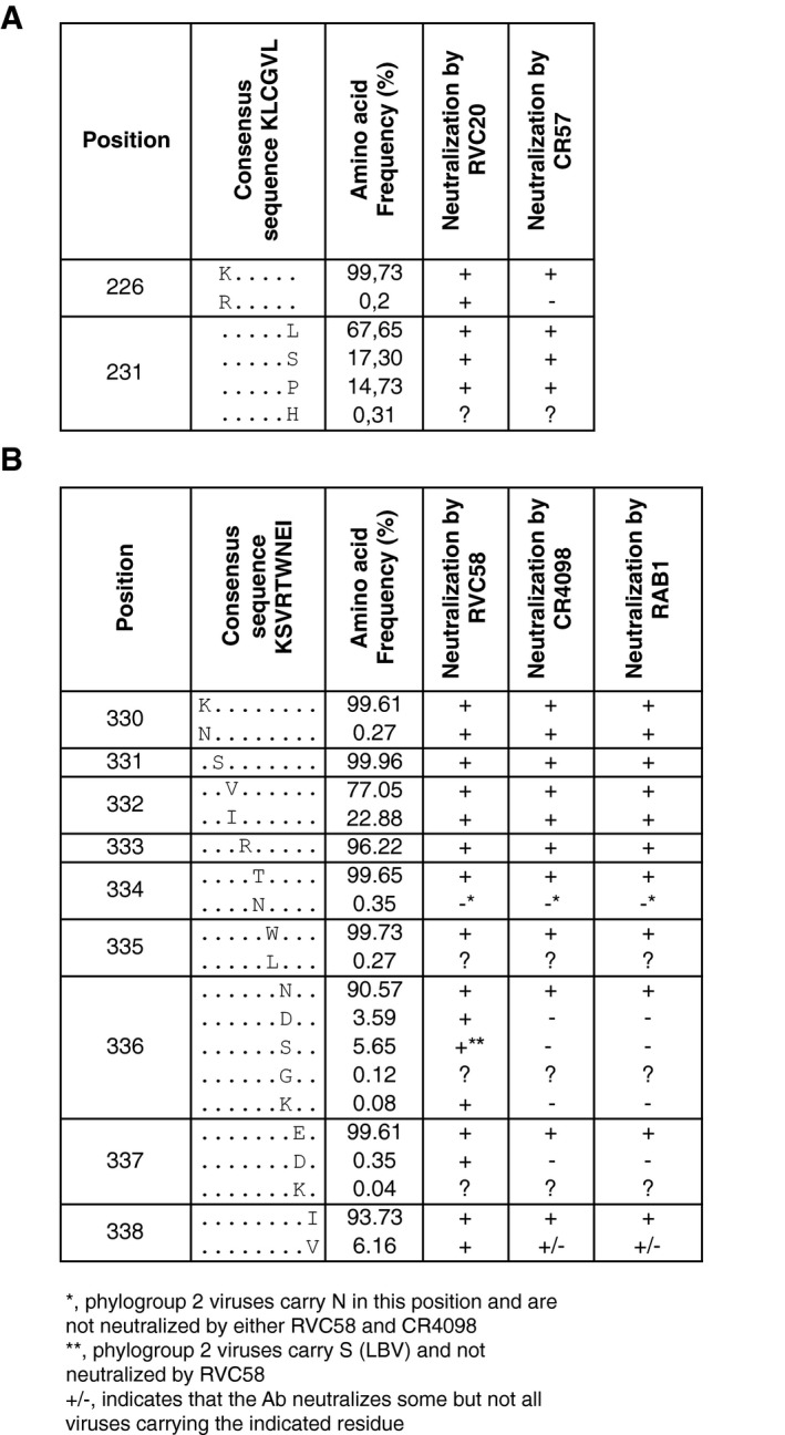 Figure EV4