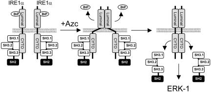 Figure 9.