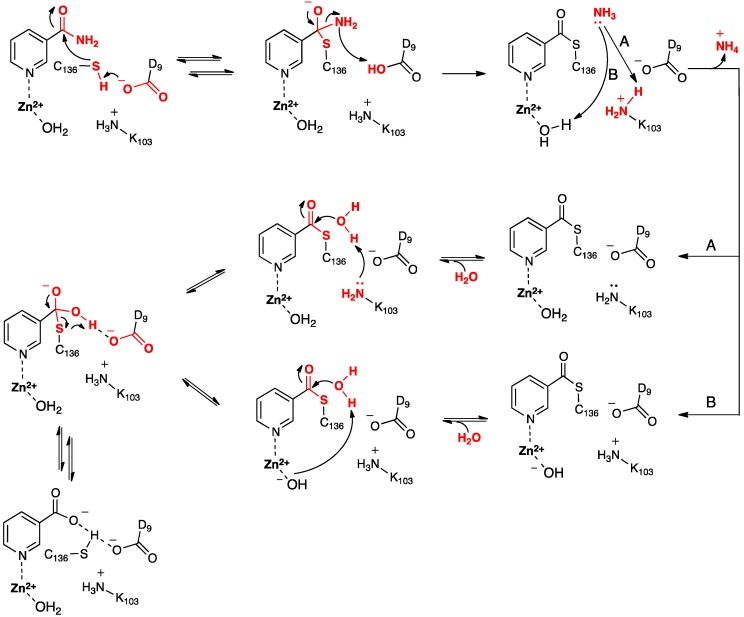 Scheme 2