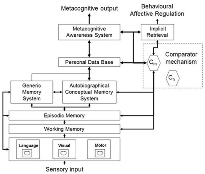 FIGURE 1