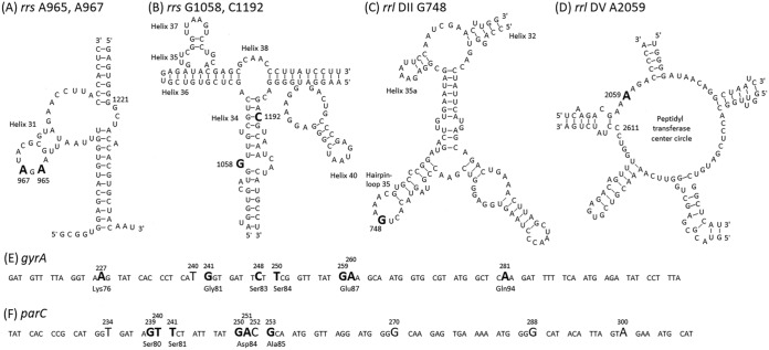 FIG 3