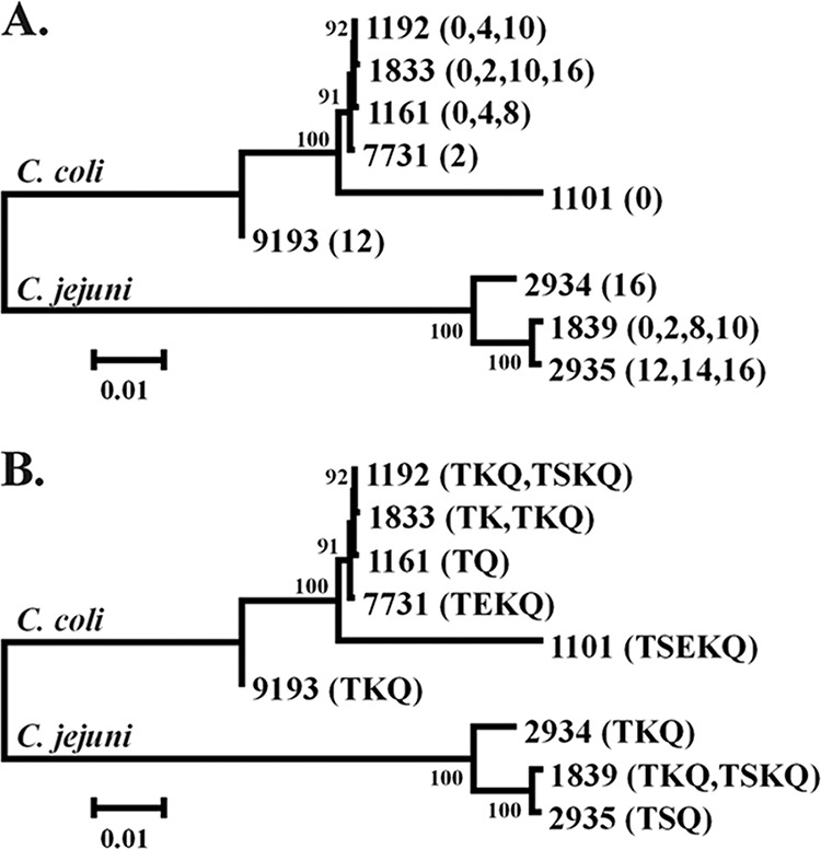 FIG 5