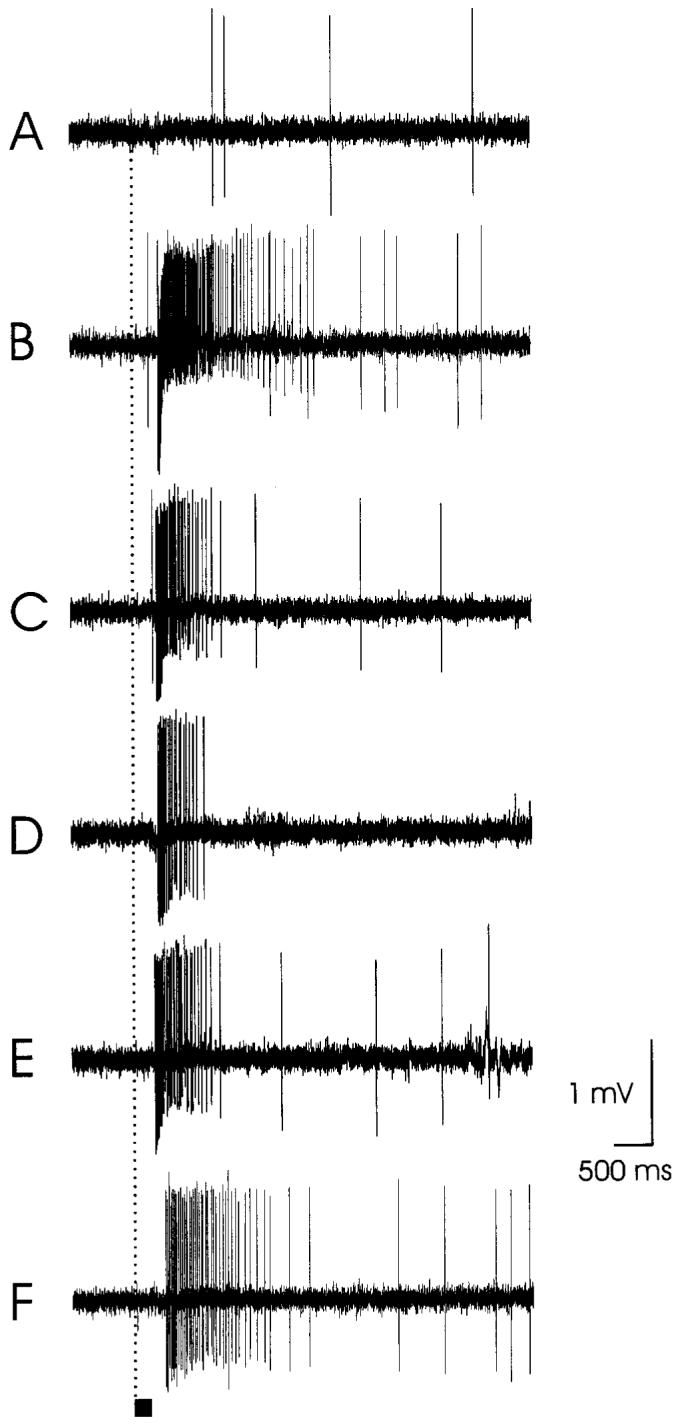 Fig. 11