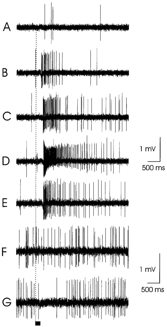 Fig. 10