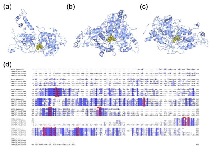 Figure 7