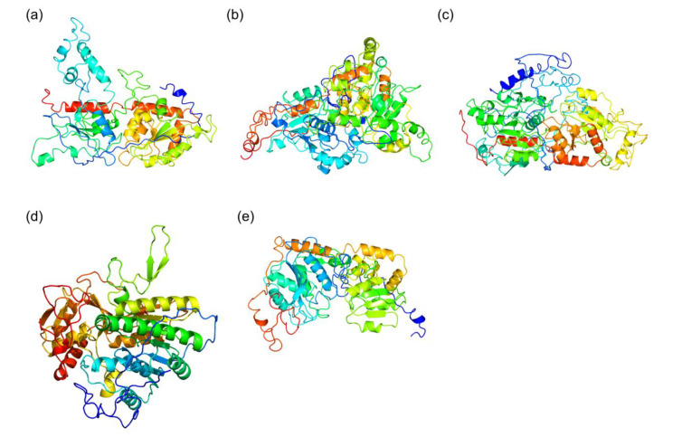 Figure 6