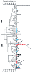 FIG. 1