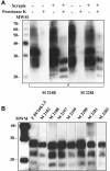 FIG. 5.