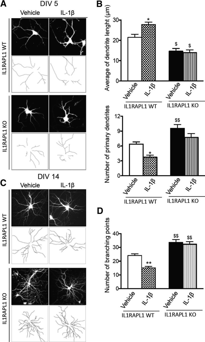 Figure 11.