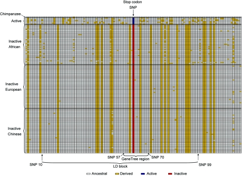 Figure  3