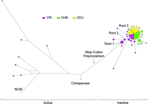 Figure  4