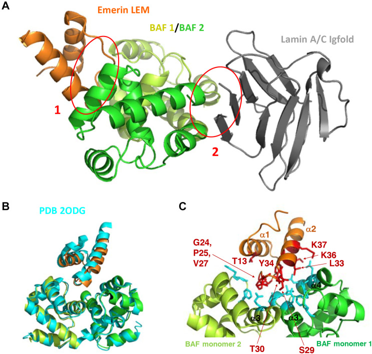 Figure 3.