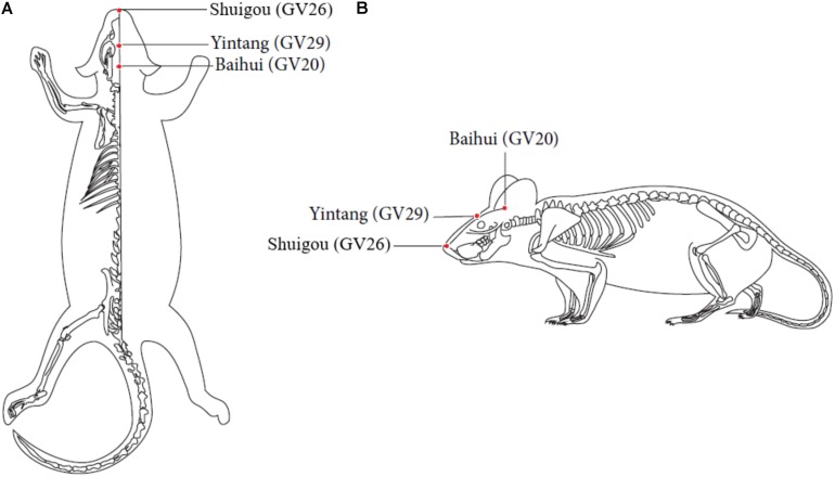 FIGURE 1