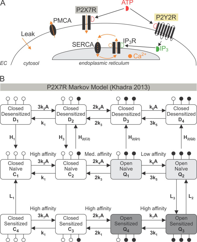 Fig 3