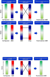 Figure 7