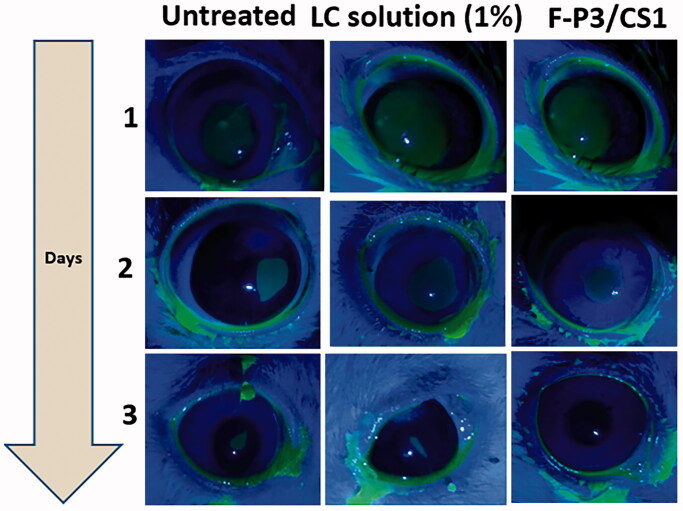 Figure 11.