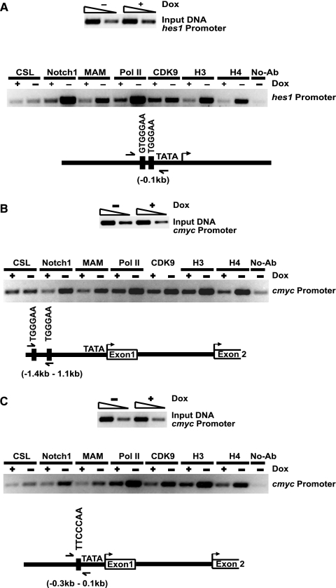 FIG. 6.